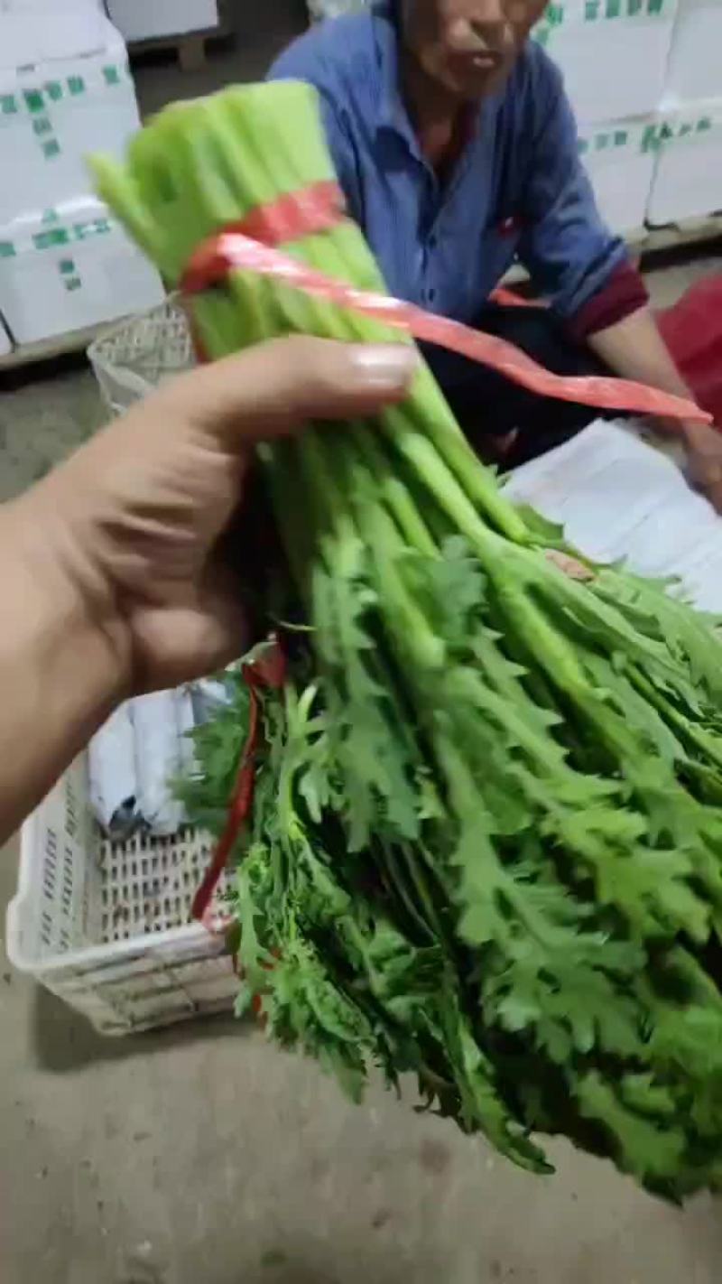 精品茼蒿
