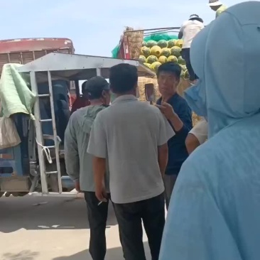 西瓜大量有货要的老板私聊