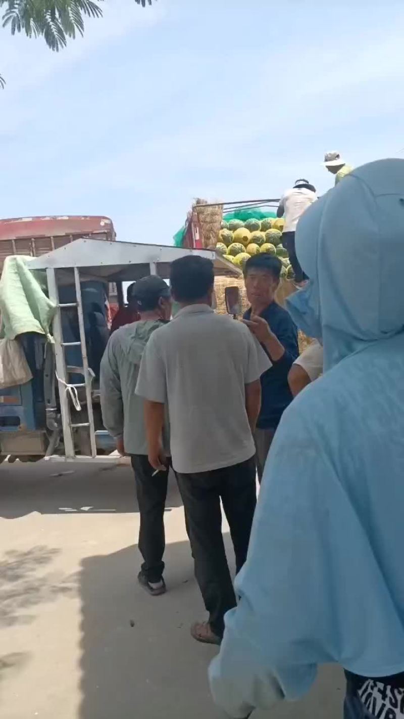 西瓜大量有货要的老板私聊
