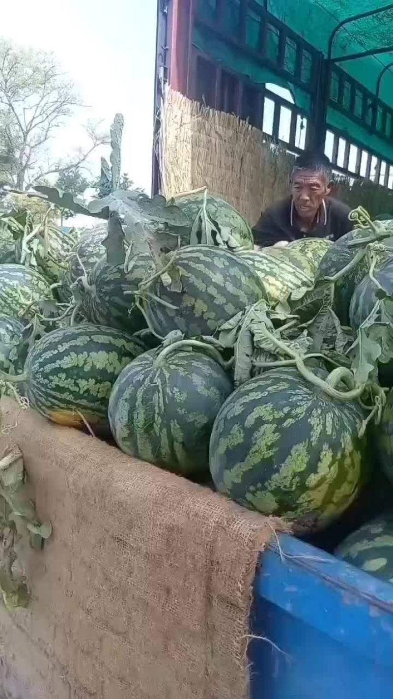 西瓜大量有货要的老板私聊