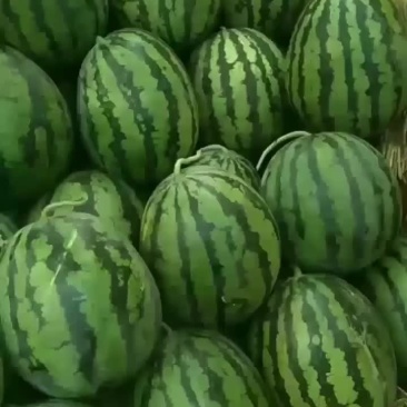 就是这么牛