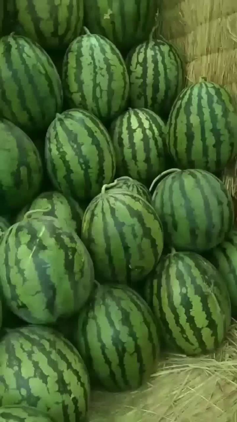 就是这么牛