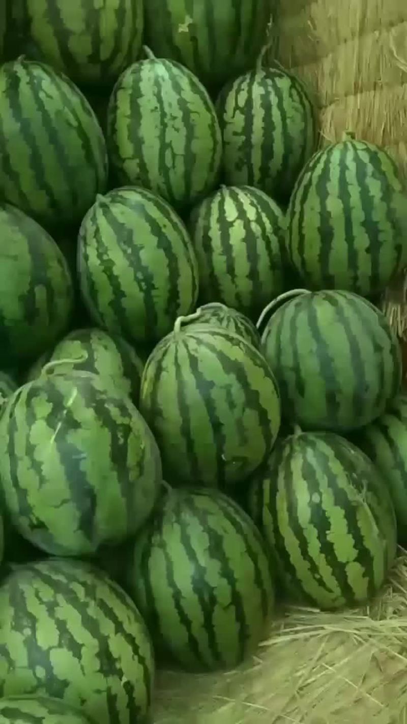 就是这么牛