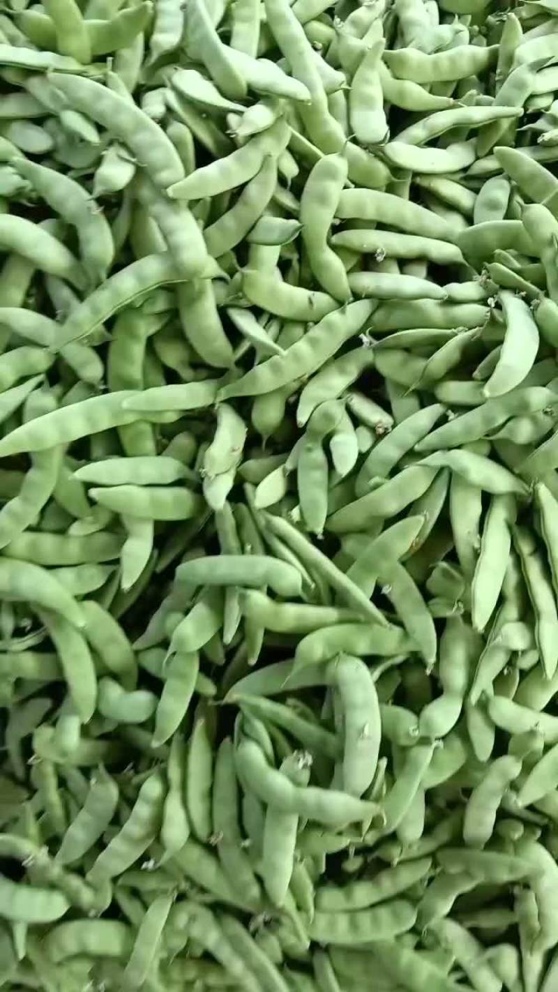 油豆角老怀德油豆角