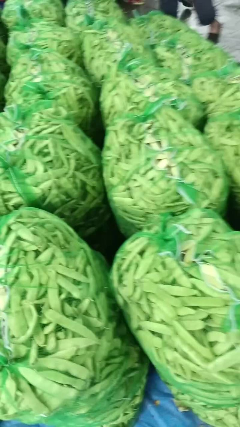 油豆角老怀德油豆角