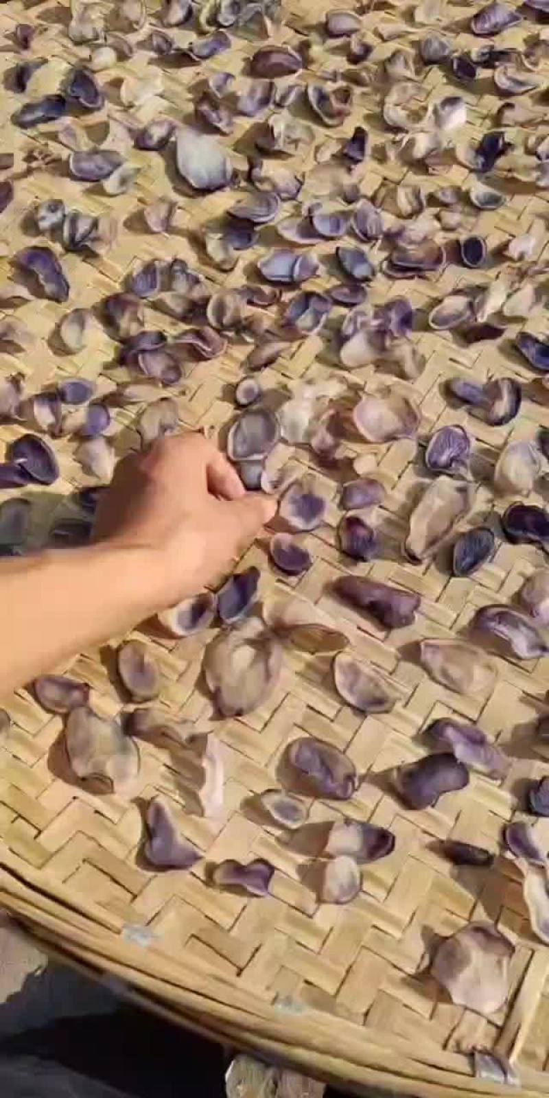 贵州特色乌洋芋干片