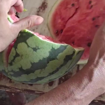 精品有子美都
