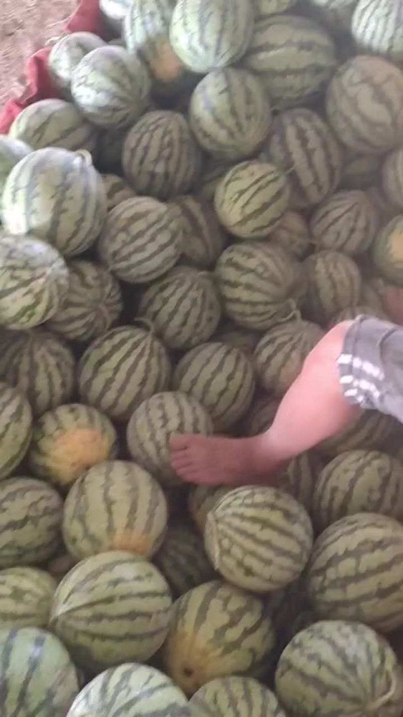 精品有子美都