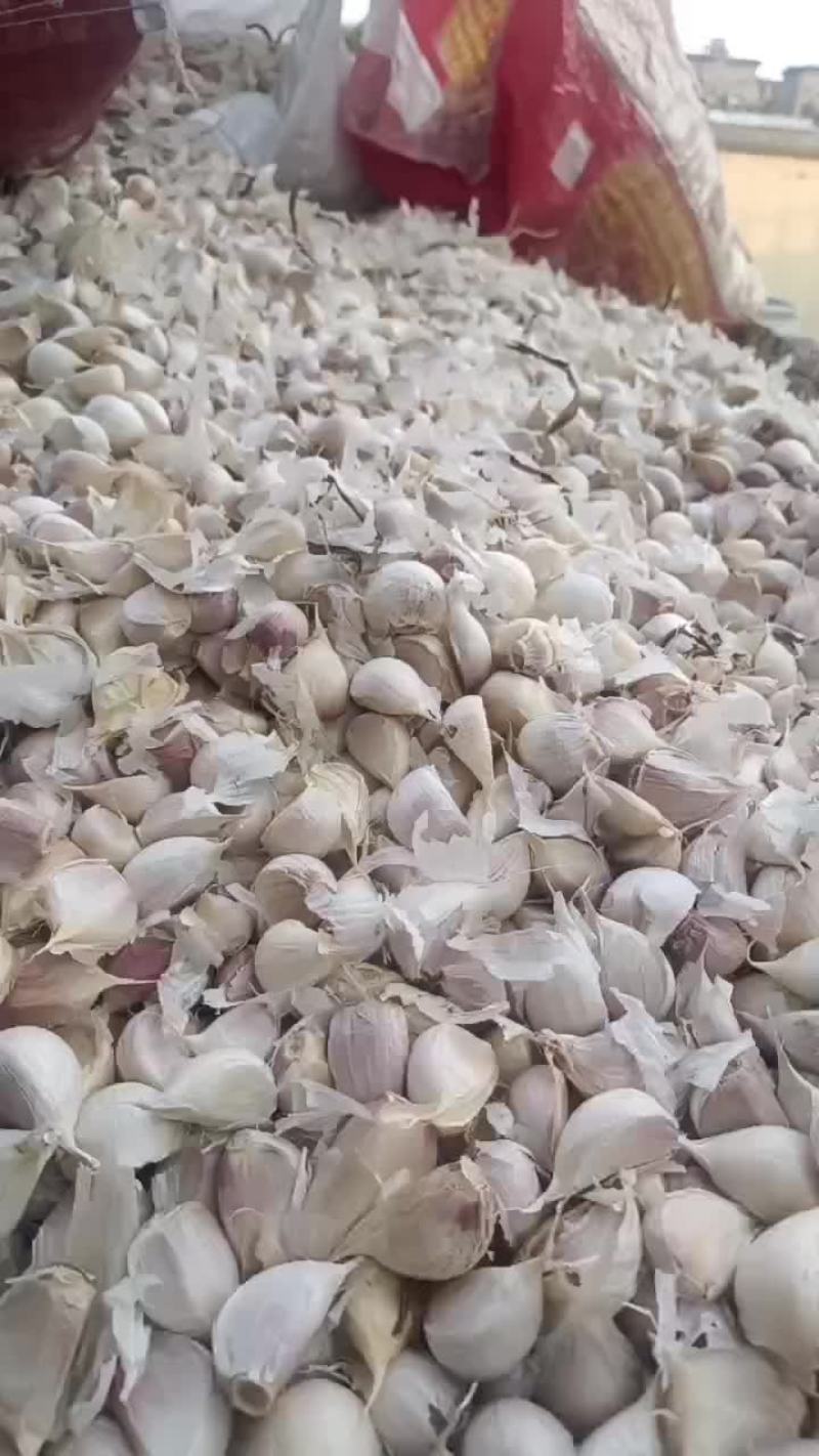 蒜瓣