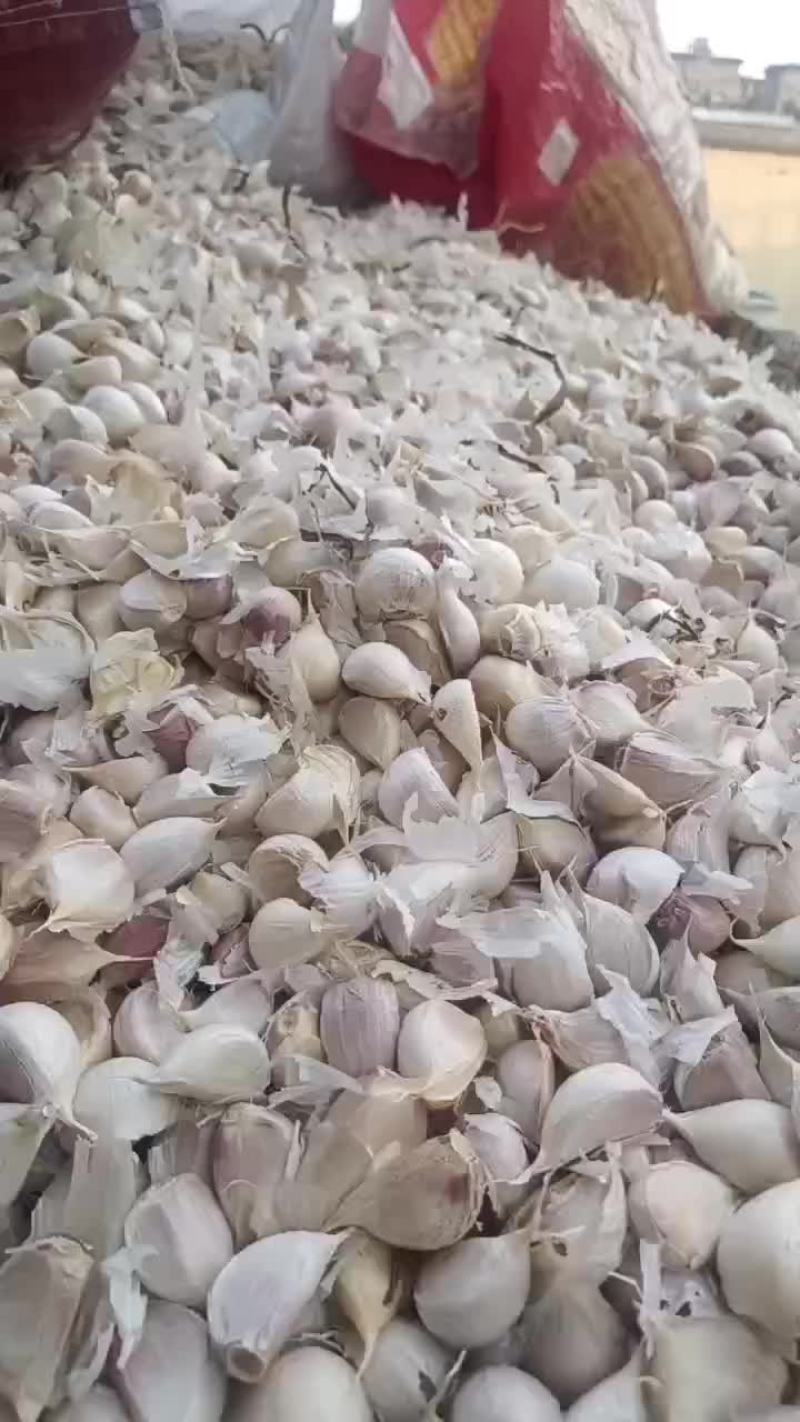蒜瓣