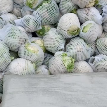 精品实花