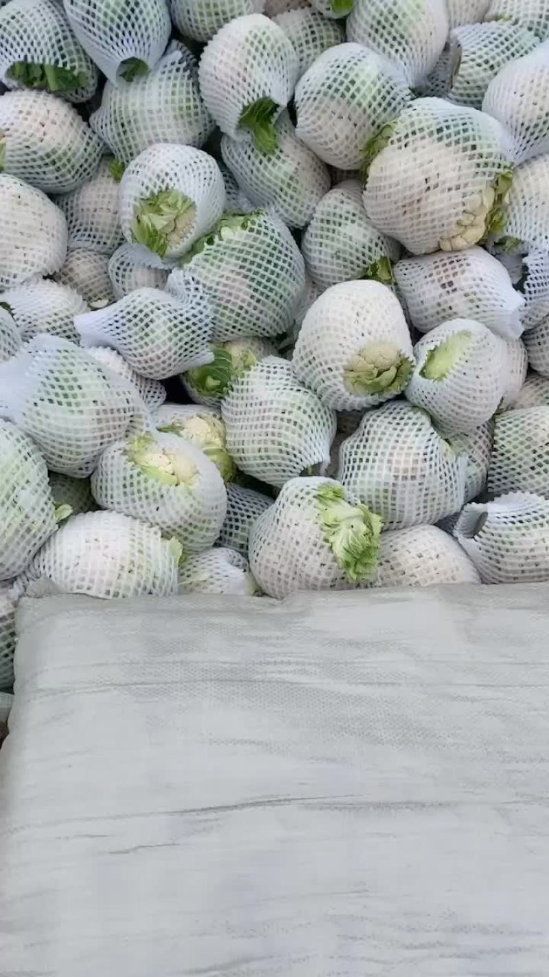 精品实花