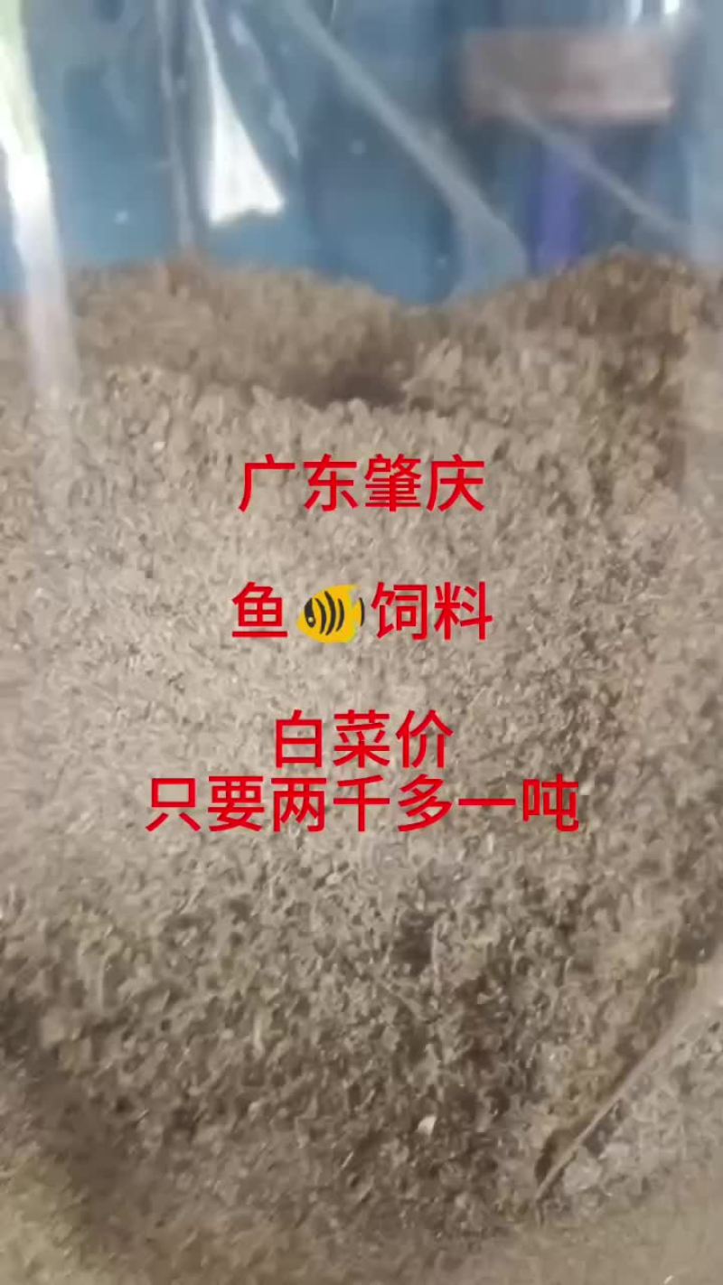 广东鱼饲料罗非鲮鱼四大家鱼饲料鱼全国招代理