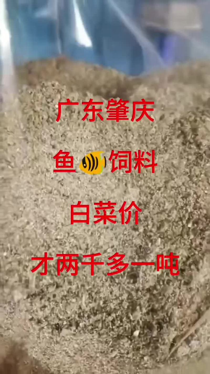 广东鱼饲料罗非鲮鱼四大家鱼饲料鱼全国招代理