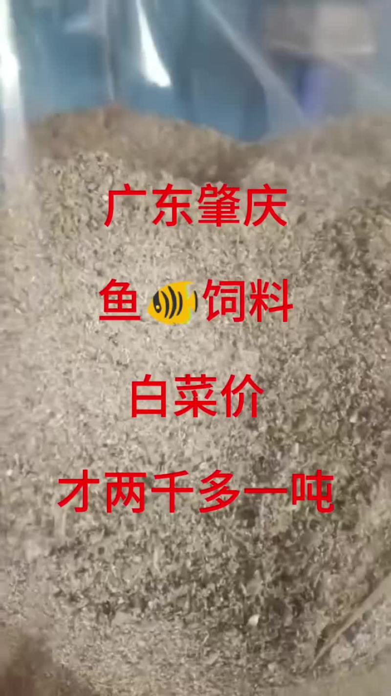 广东鱼饲料罗非鲮鱼四大家鱼饲料鱼全国招代理