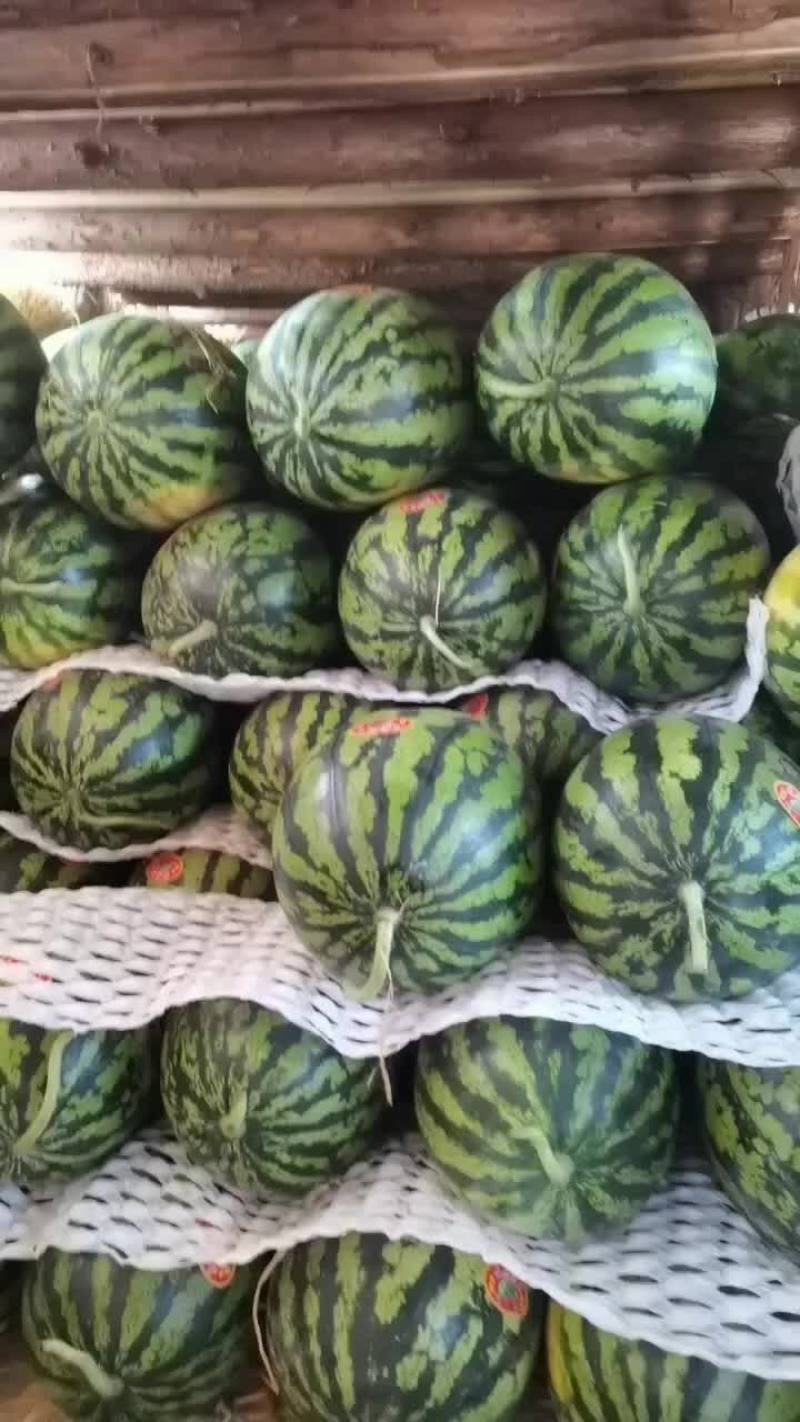 陕西精品无籽甜王