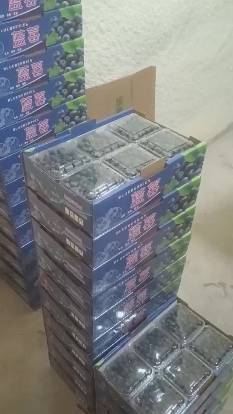 蓝莓