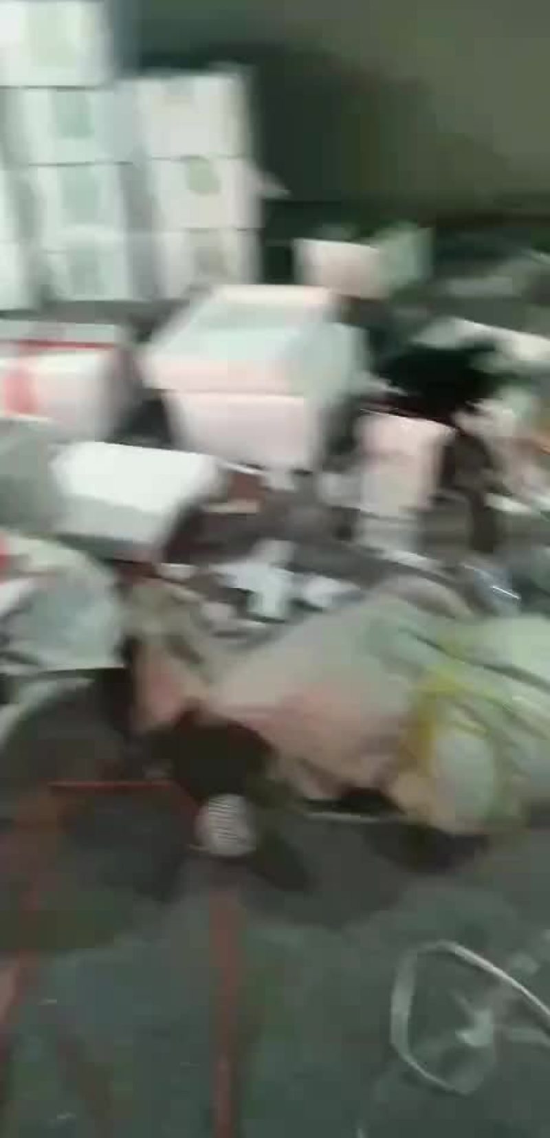 精品彩椒，出口俄罗斯，泰国，