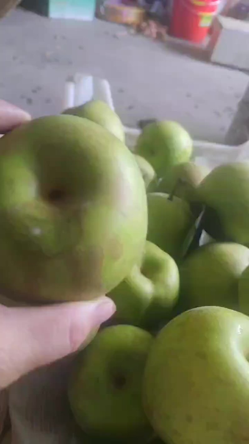 苏州树山林