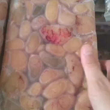 鸡腰子，大量批发零售全国发货，欢迎常年合作