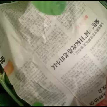 庆红999大量上市平均16*7斤