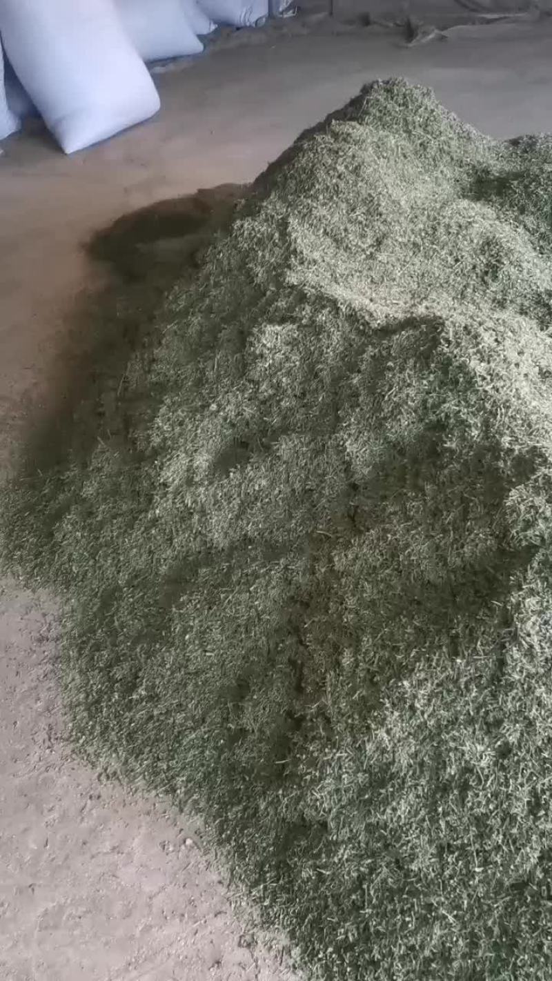 二茬半枝莲片子加工中