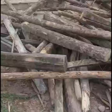 下房木