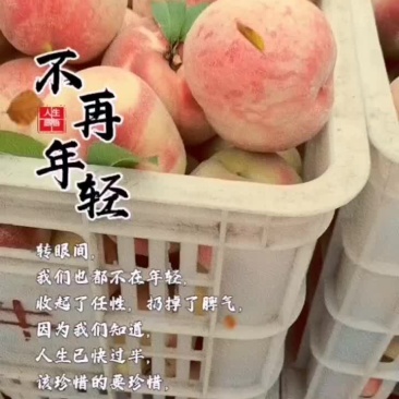 沙红桃己开始收购了急需老板赶紧来吧