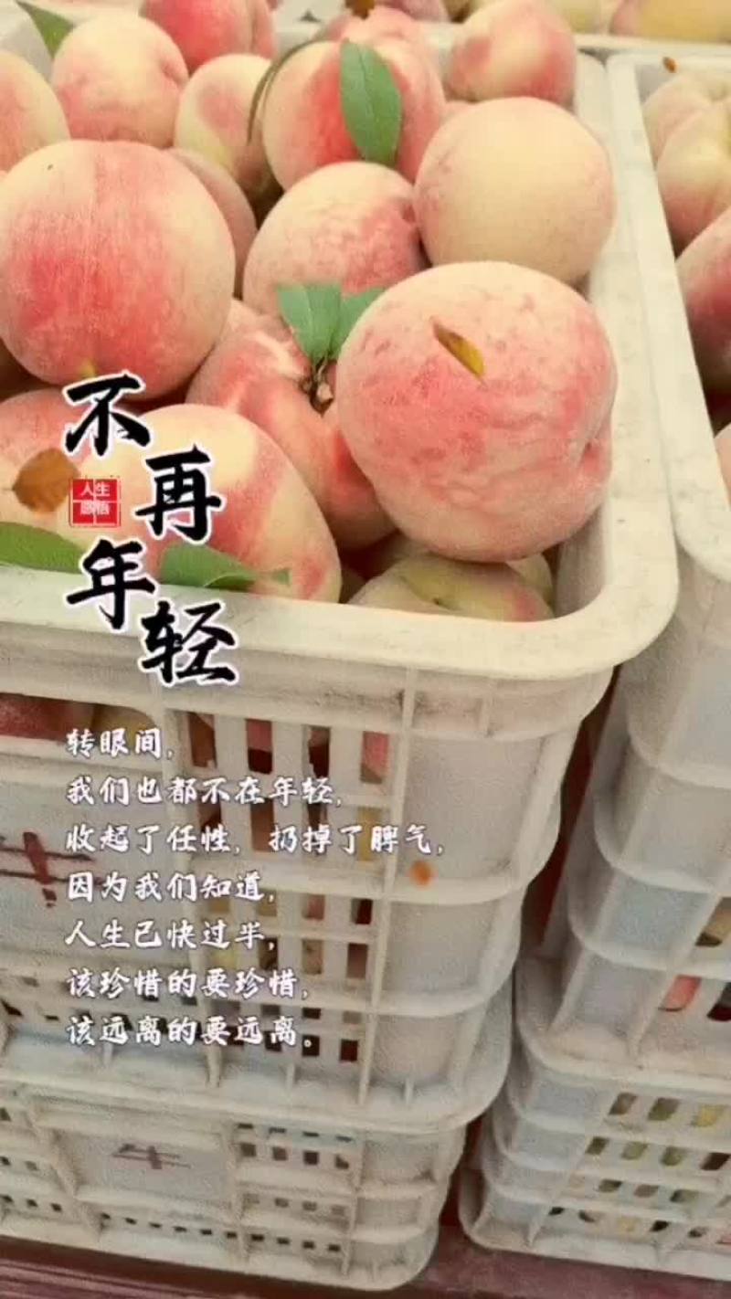 沙红桃己开始收购了急需老板赶紧来吧