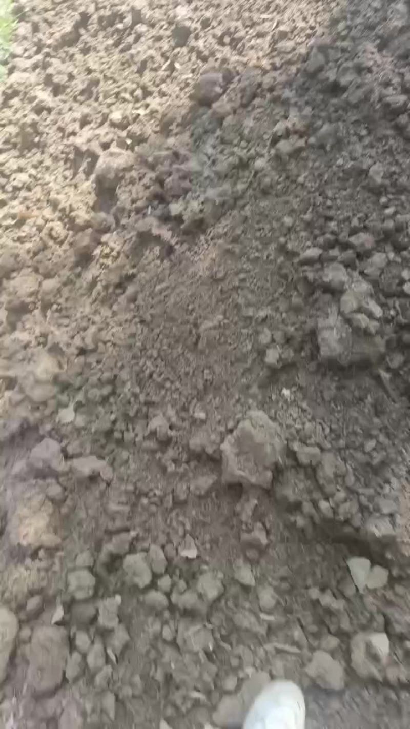 脱水牛粪非常干净没杂质