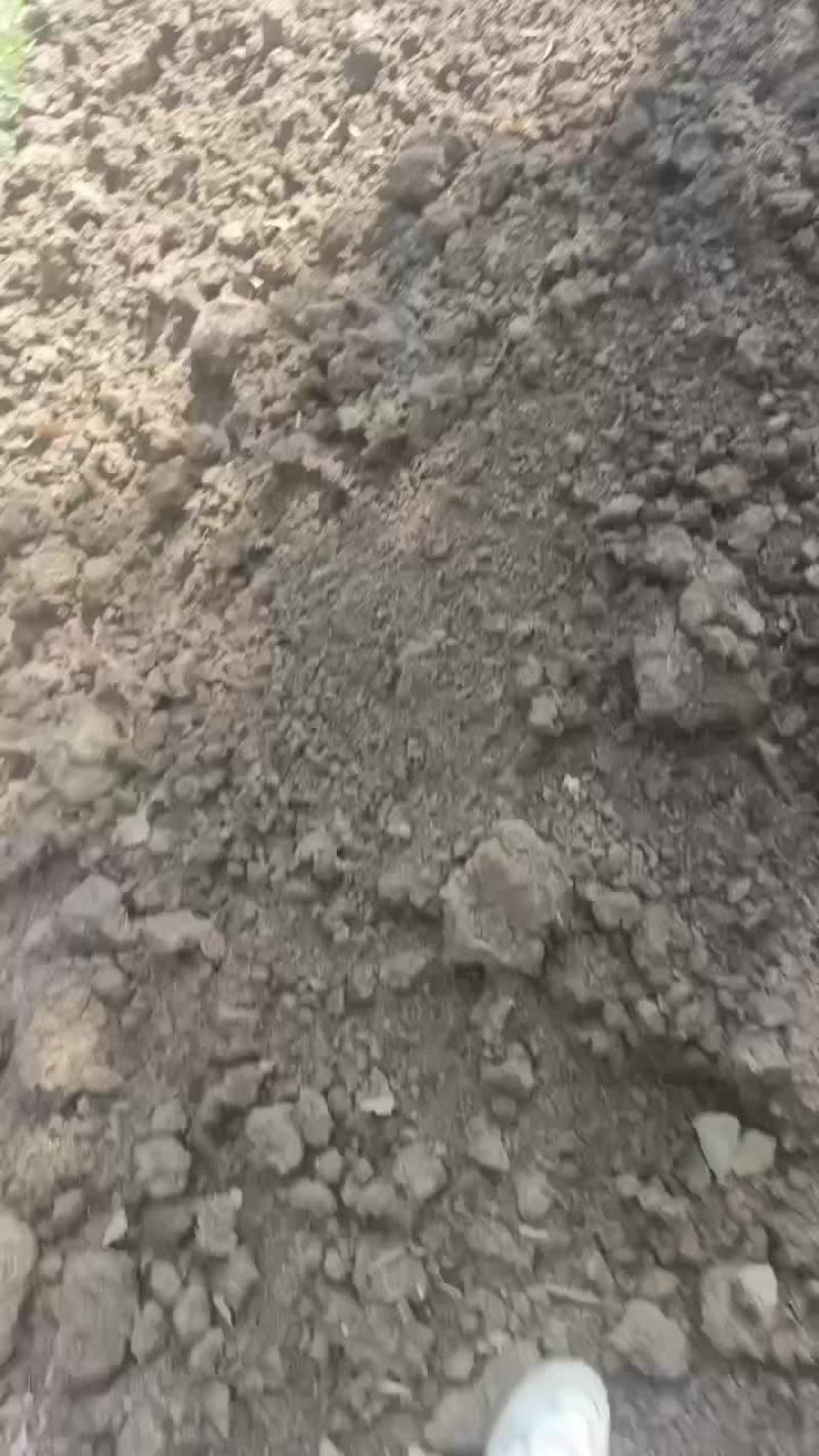 脱水牛粪非常干净没杂质