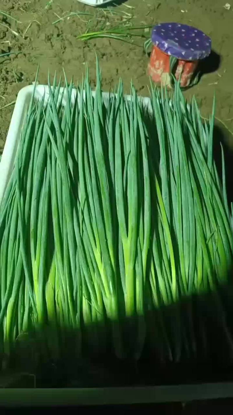 大量现货价格便宜欢迎下单