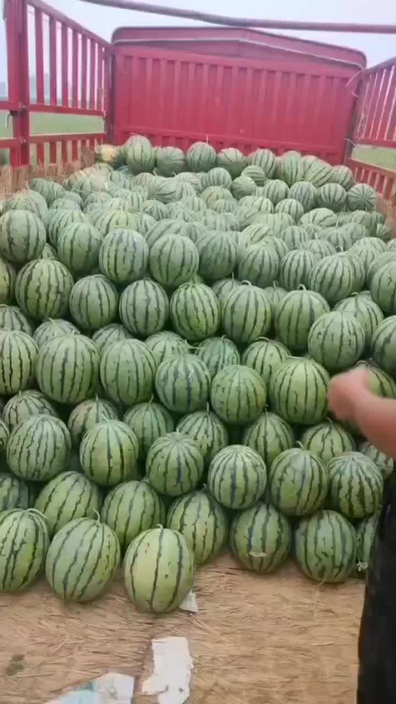 庆红999