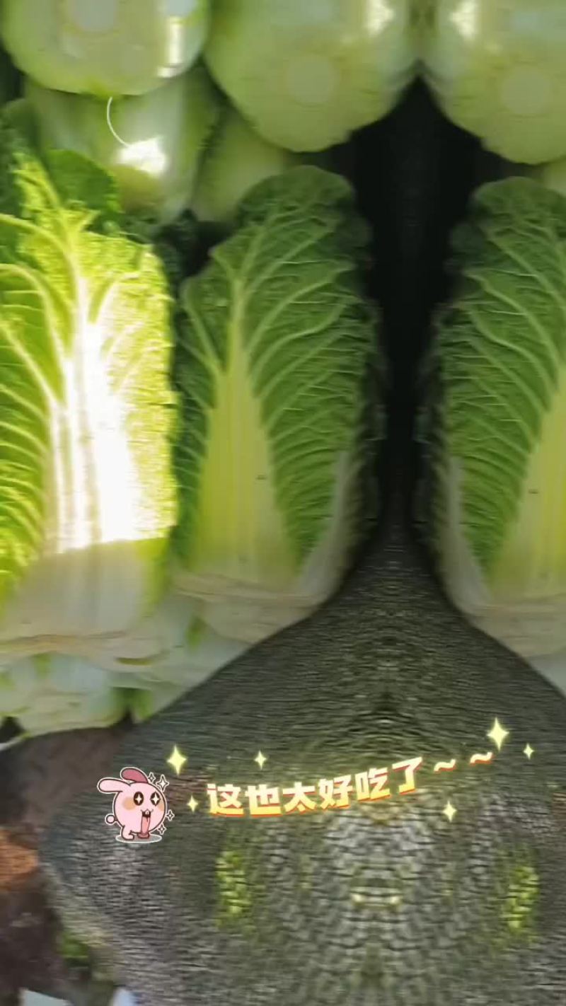 玲珑黄大白菜，甘蓝