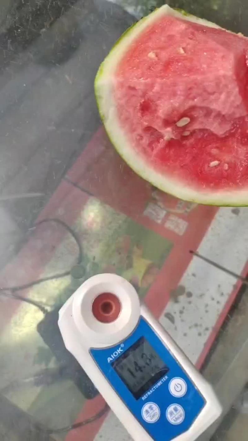 无籽美都，大量供应