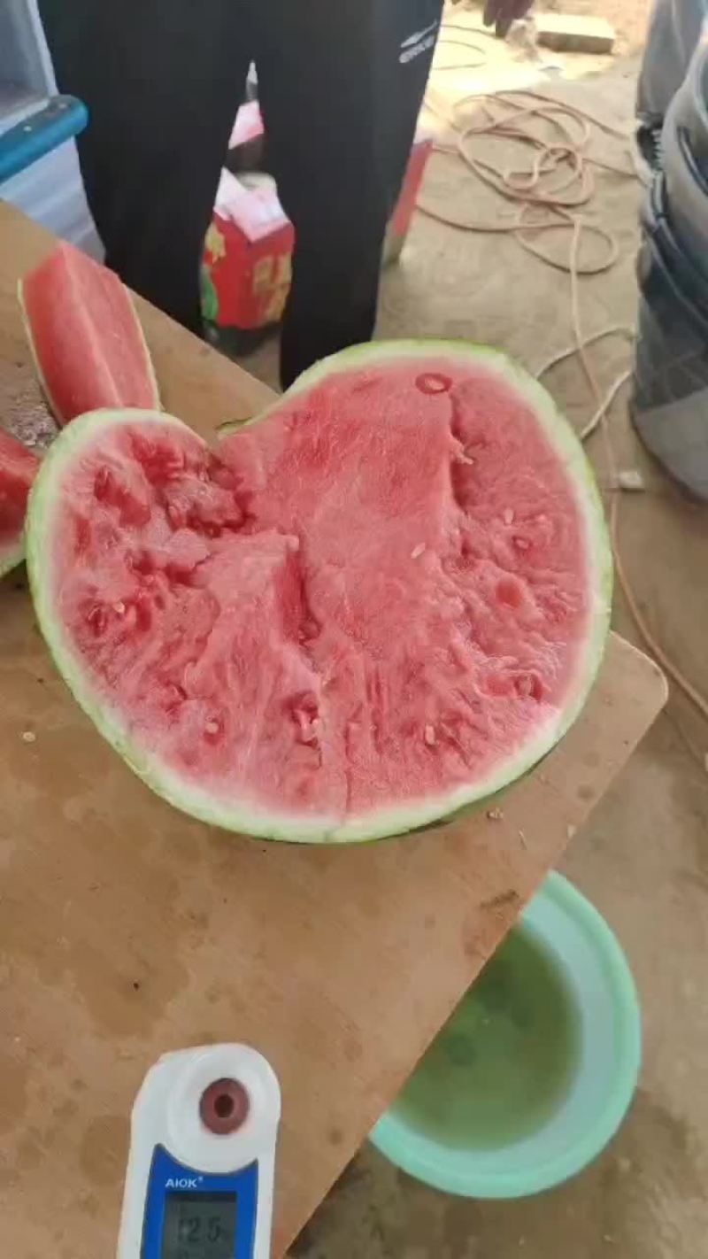 无籽美都，大量供应