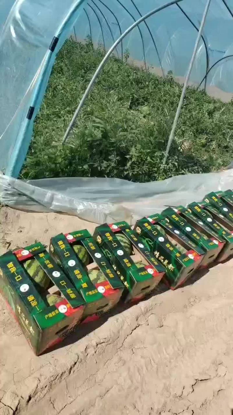无籽美都，大量供应