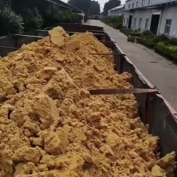 苹果渣