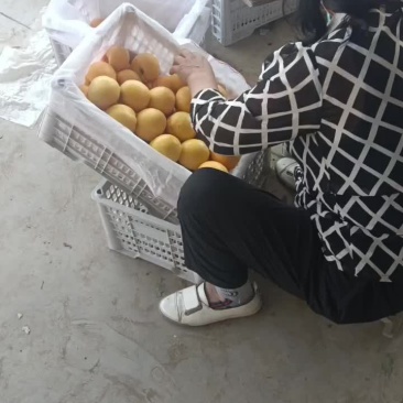 黄油桃