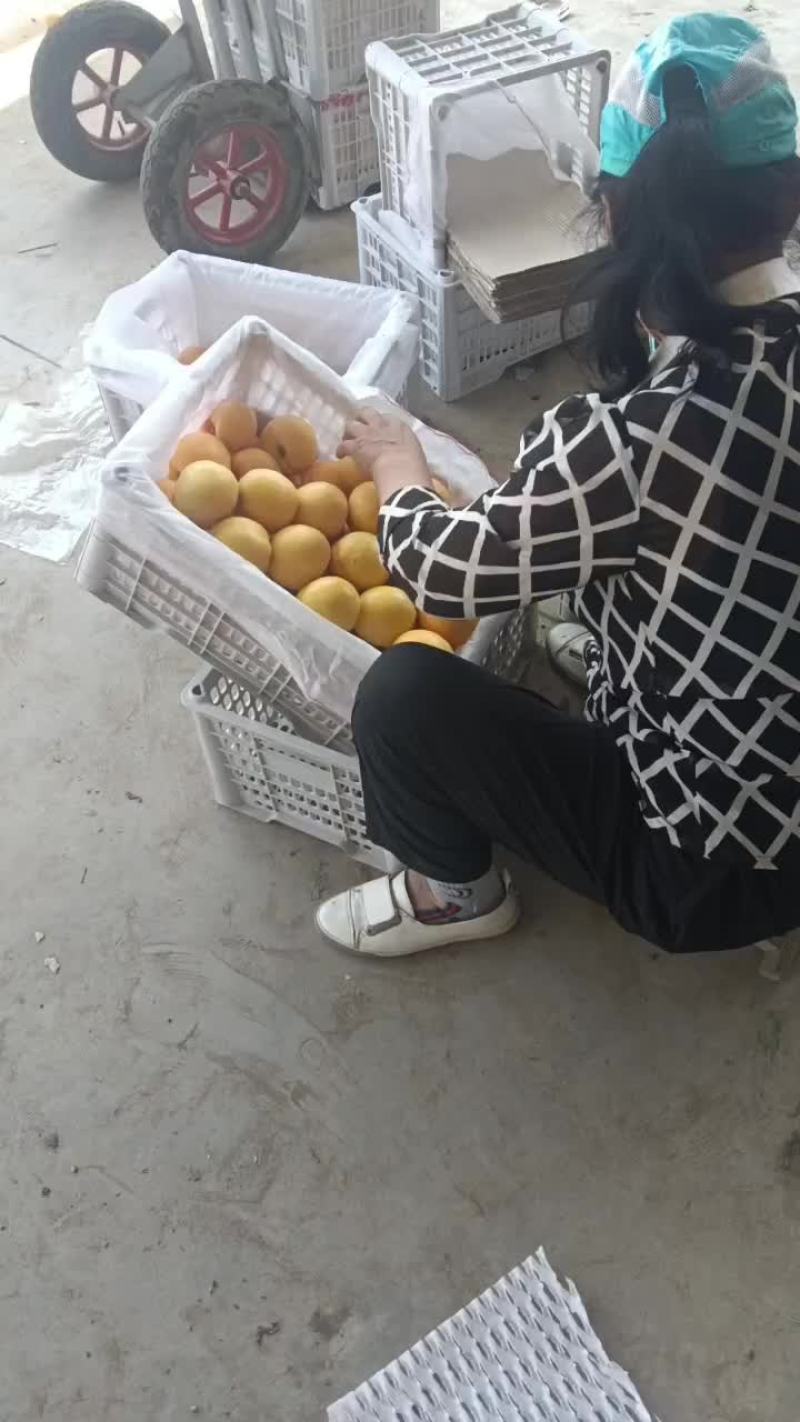 黄油桃