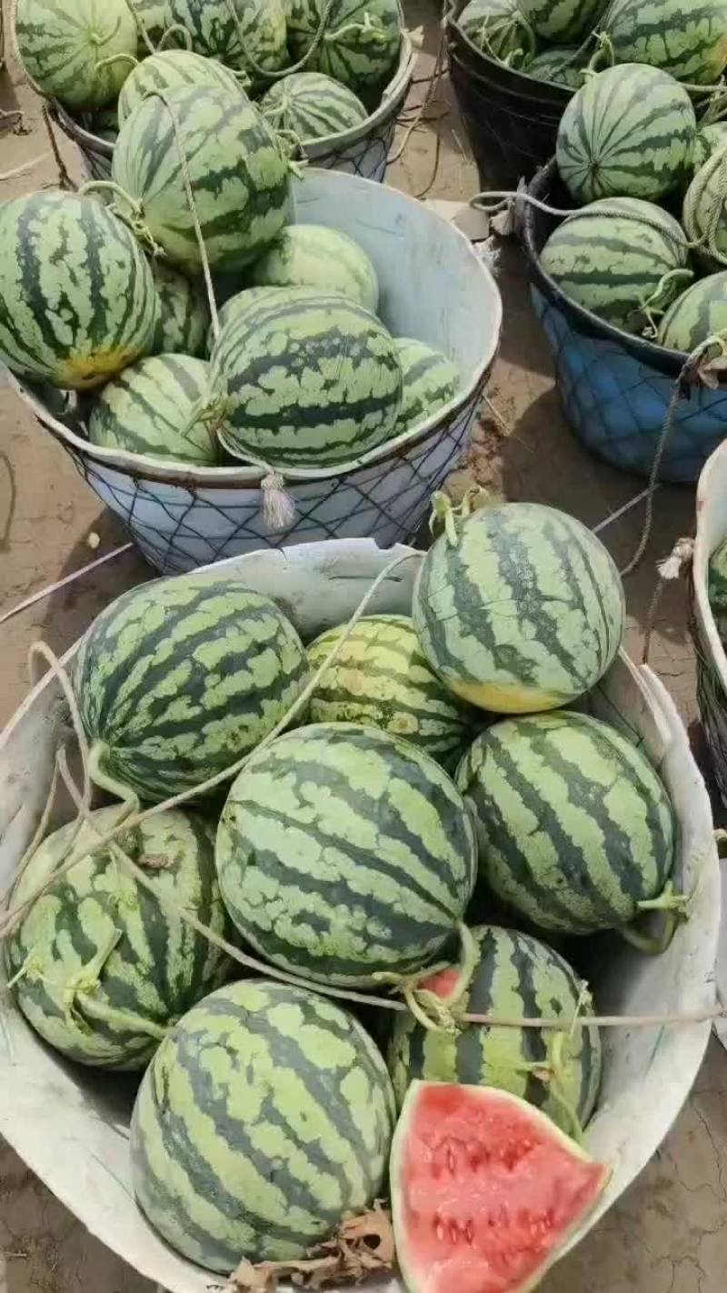 麒麟瓜美都瓜园产地直发一手货源质量保证