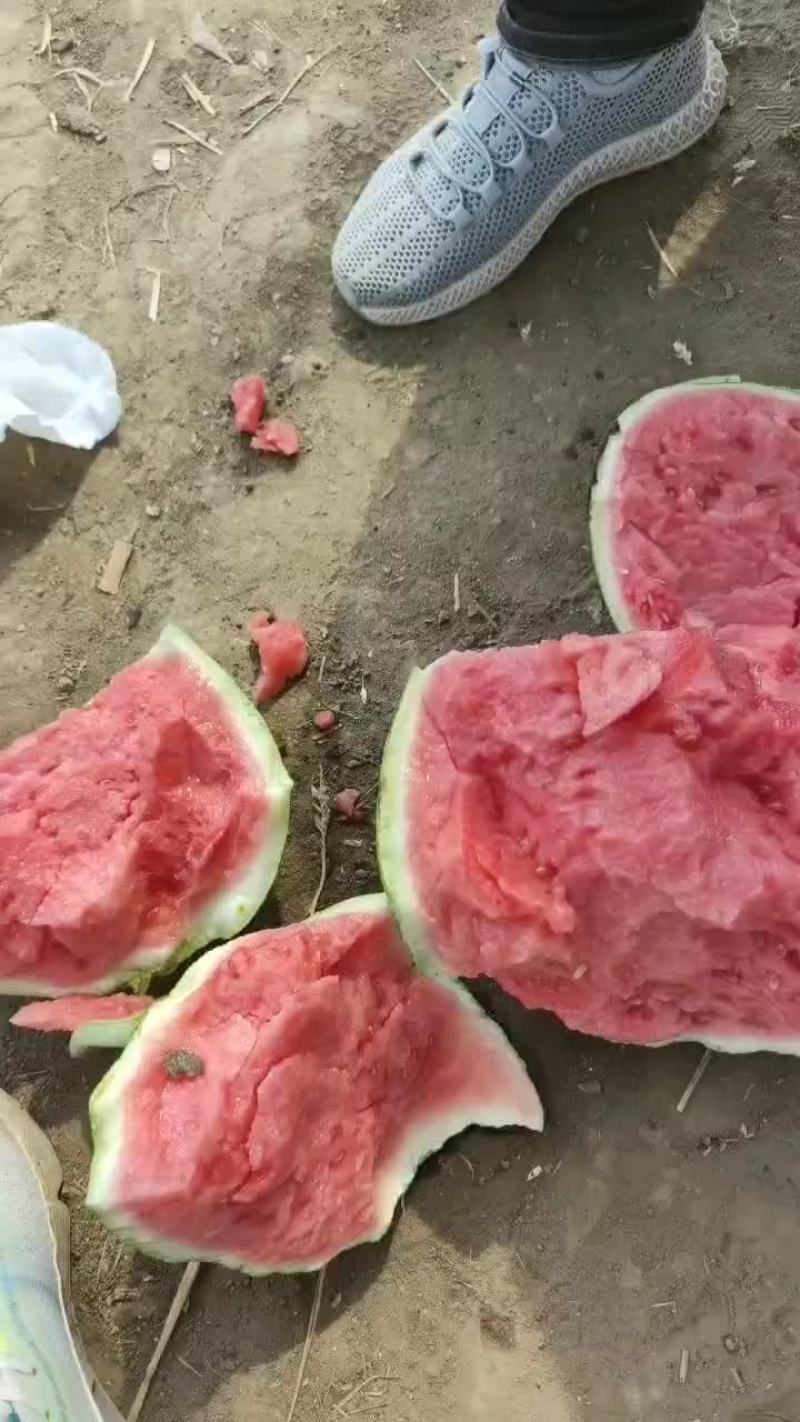 麒麟瓜美都瓜园产地直发一手货源质量保证