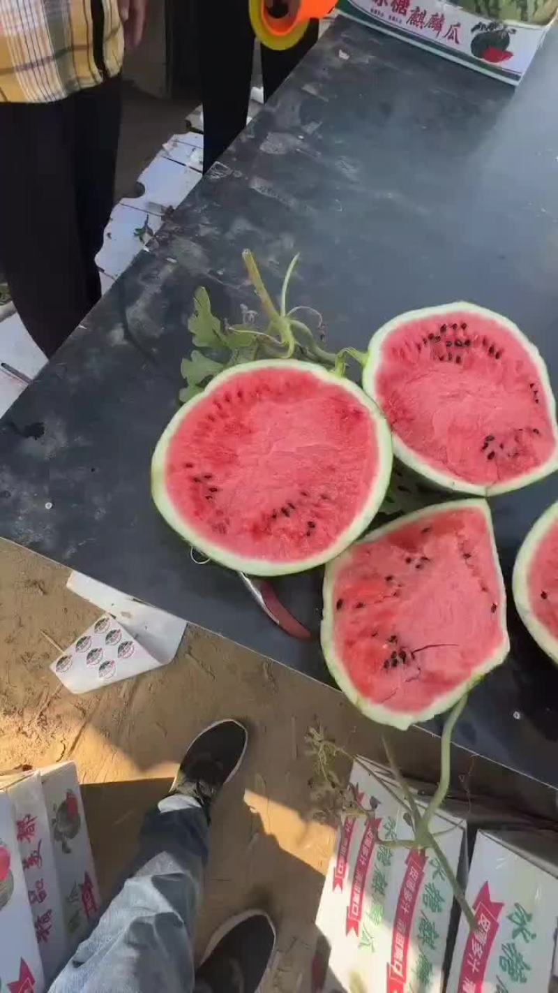 麒麟瓜美都瓜园产地直发一手货源质量保证