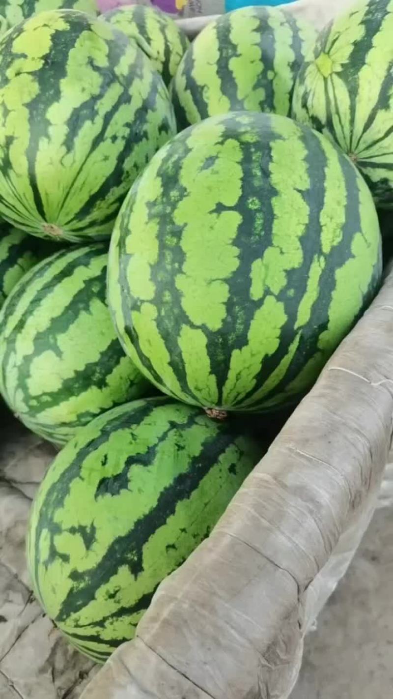 浙江麒麟瓜，皮薄脆甜，口感好