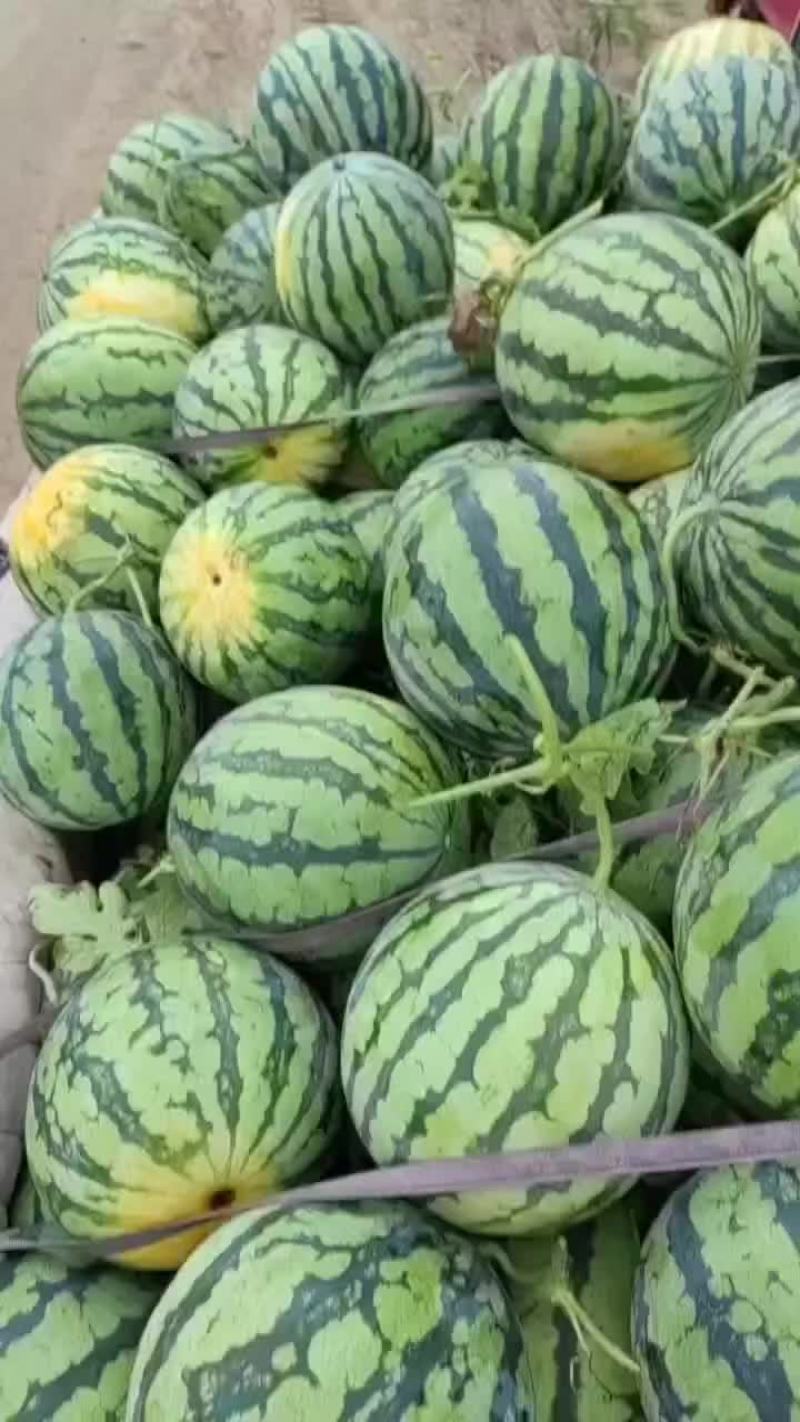 麒麟瓜美都瓜园产地直发一手货源质量保证