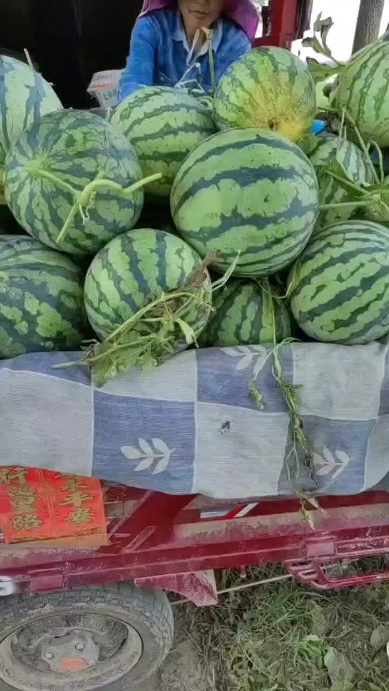 麒麟瓜美都瓜园产地直发一手货源质量保证