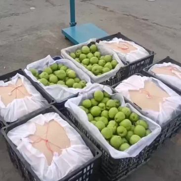 六月酥
