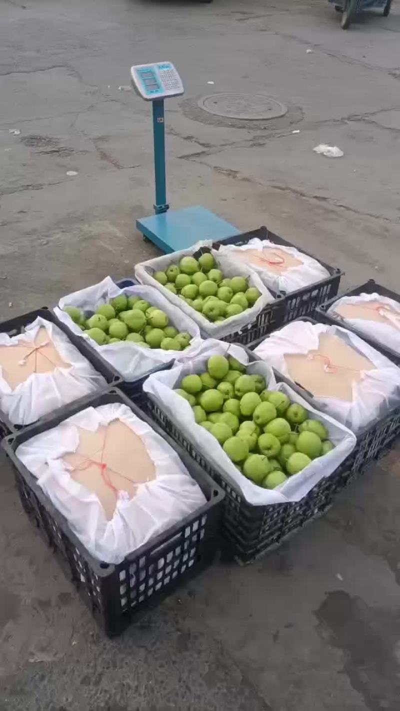 六月酥