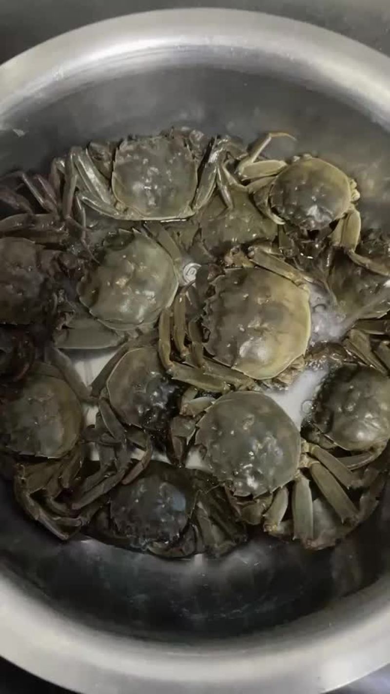 河蟹上市，有需要的老板来