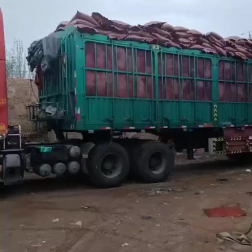 发酵纯羊粪专业生产厂家品质保障货源稳定可全国发货